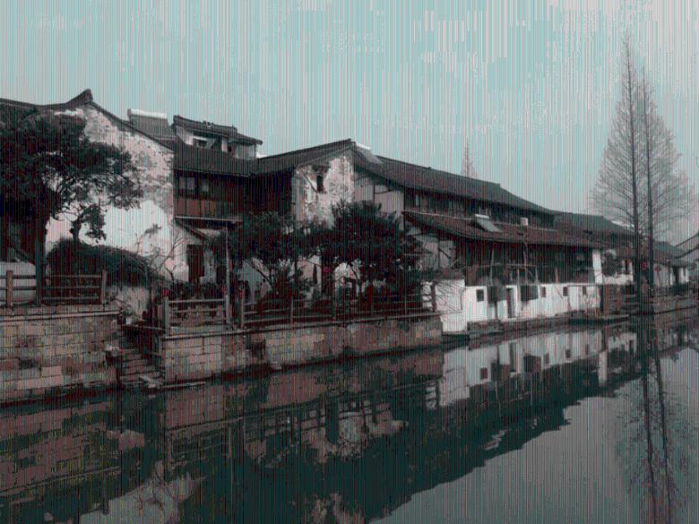 合作社“搭桥” 村民走上致富路